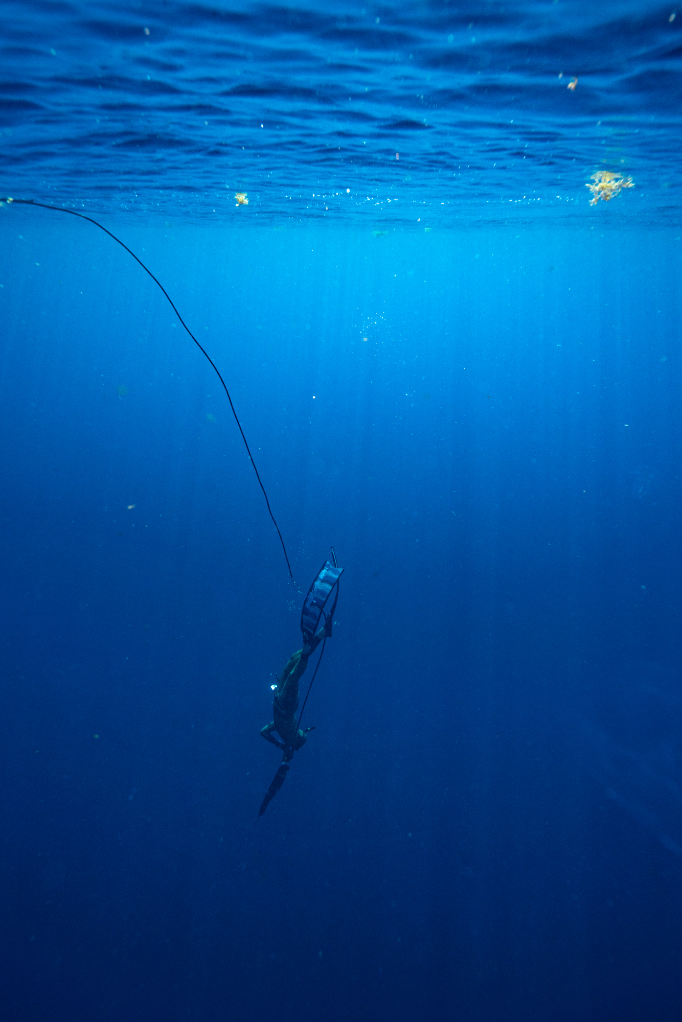 Ian-Wilson-Navarro-Photography-Tony-Young-Blue-Star-Fishing--DSC02427-06