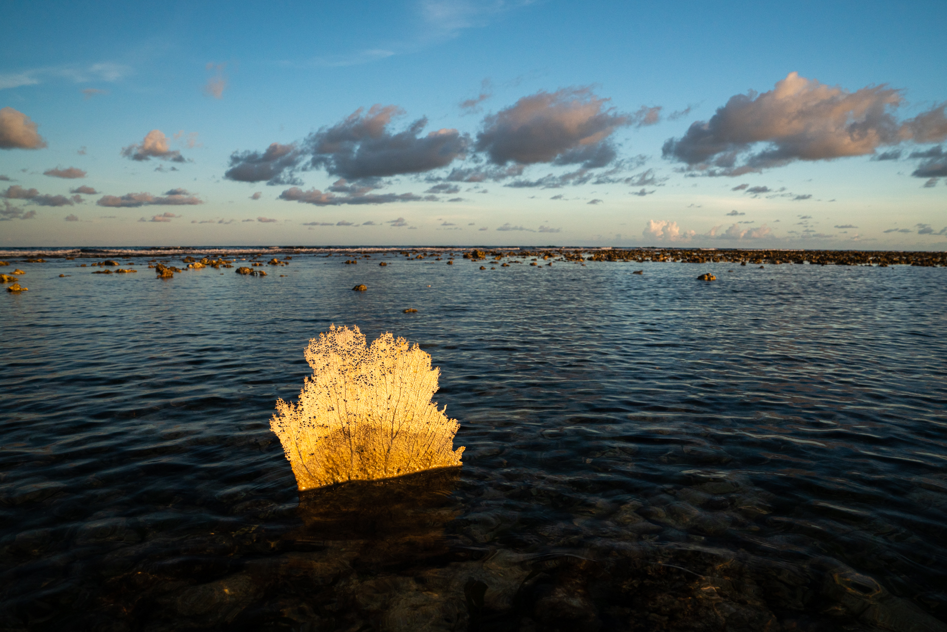 IanWilsonNavarroPhotography_DSC04500