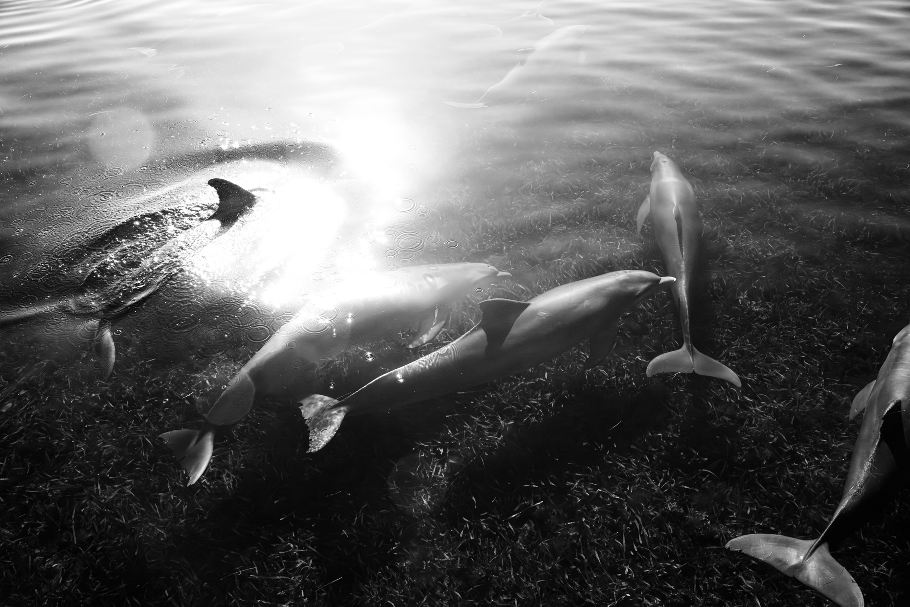 IanWilsonNavarroPhotography_DSC07847-Enhanced-NR