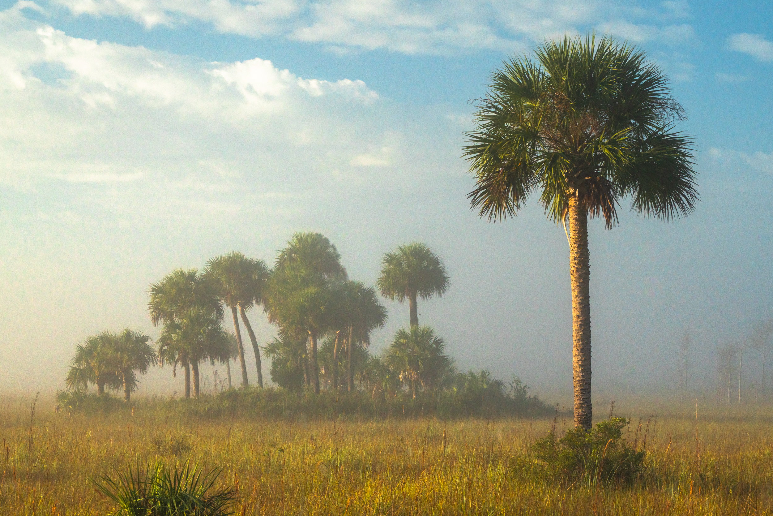 Ian_Wilson_Navarro_Florida_Print_03946
